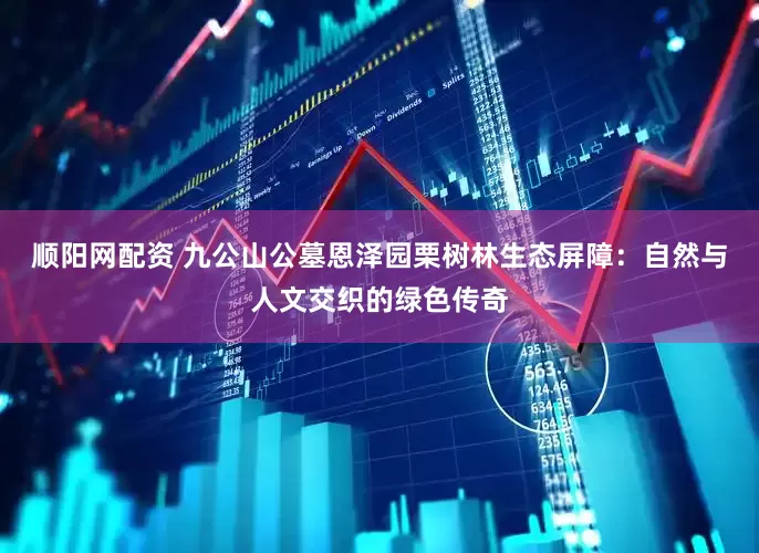 顺阳网配资 九公山公墓恩泽园栗树林生态屏障：自然与人文交织的绿色传奇